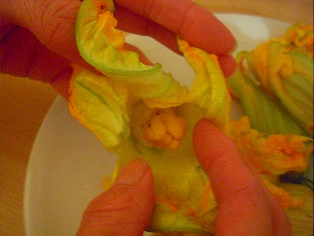 [SDC147546.jpg]