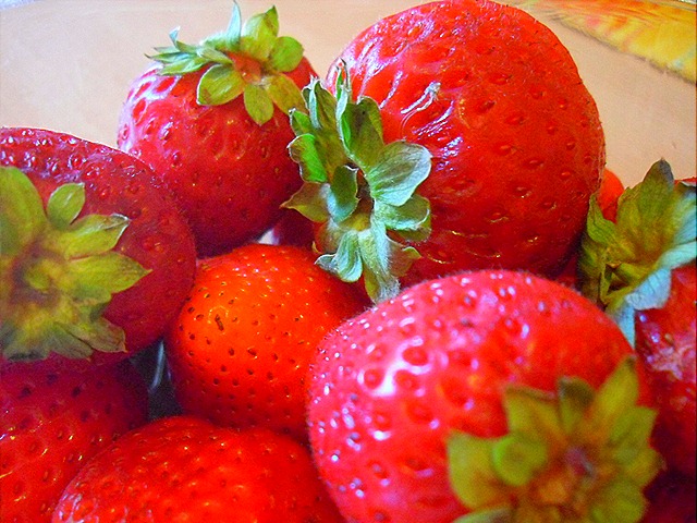 [SDC1509110.jpg]