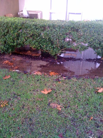 [flooding at apartments on ground level[2].jpg]