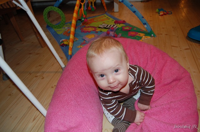 [DSC_0090[5].jpg]