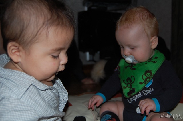 [DSC_0340 (4)[4].jpg]