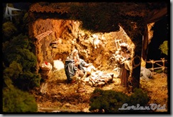 BelenLasFuentes (4)