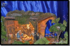 BelenLasFuentes (11)
