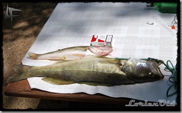 Pescado_en_Cuerda_del_Pozo