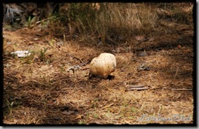 Naturaleza (1)