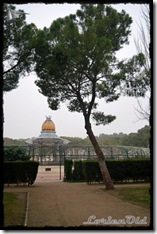Parque_Labordeta (71)