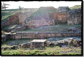 Uxama (8)