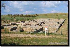 Uxama (9)
