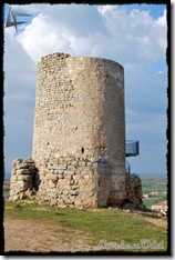 Uxama (21)