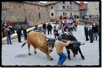 Molinos_De_Duero (55)