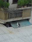 DSC07651.JPG