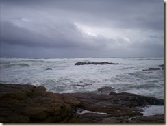 May 2009 301