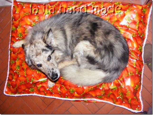 DSCF7581 DSCF7581
