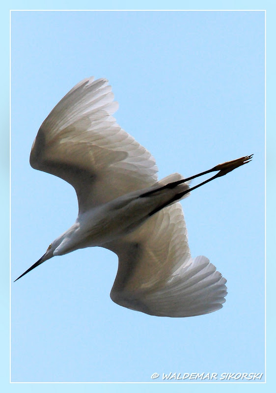 IMAGE: http://lh4.ggpht.com/_xoTzHy8krJg/SohH-PzbAeI/AAAAAAAAAEg/Si3ZiNxZI6w/s800/WS_1502res.jpg