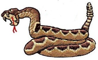 [rattlesnake[14].jpg]