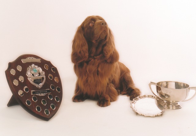 [Josh with trophies original 2010 new scan looking up[7].jpg]