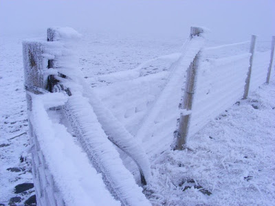 Horizontal Ice Formation