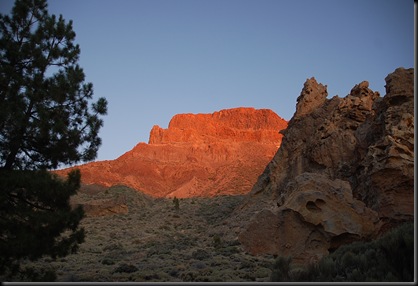 tenerifeagos09 053