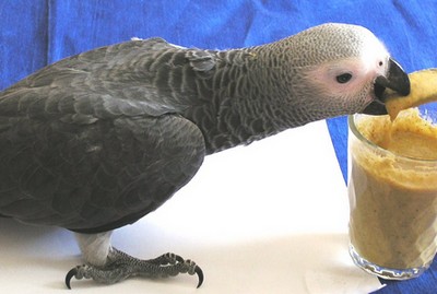 Obrázek