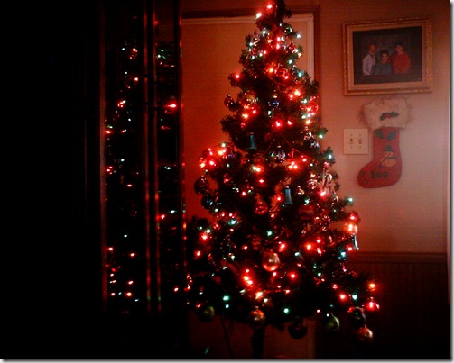 tree 2010
