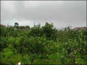 DSCN0680