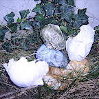  Earth (Gallery)