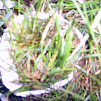  Earth (Gallery)