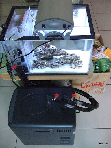 DSCF7550.JPG