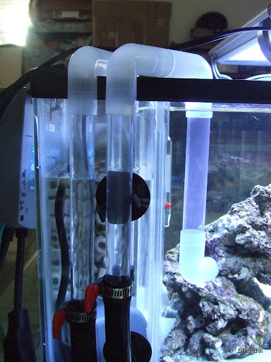 DSCF7567.JPG