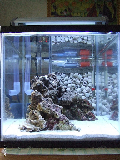 DSCF7573.JPG
