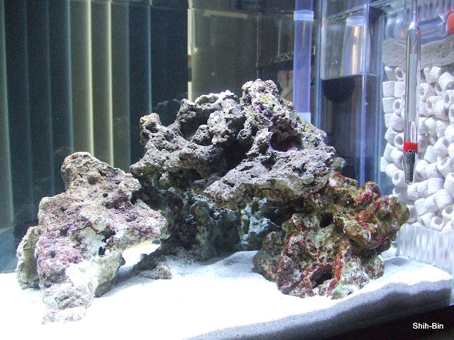 DSCF7606.JPG