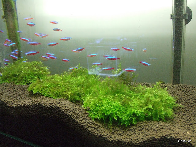 DSCF7930.JPG
