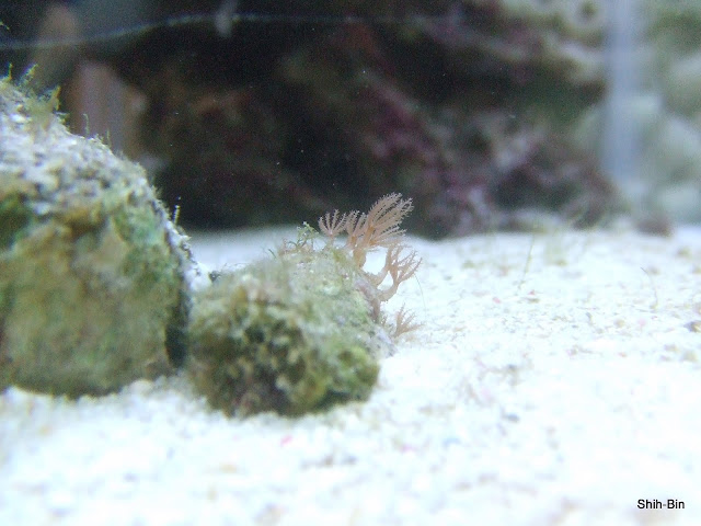 DSCF7944.JPG