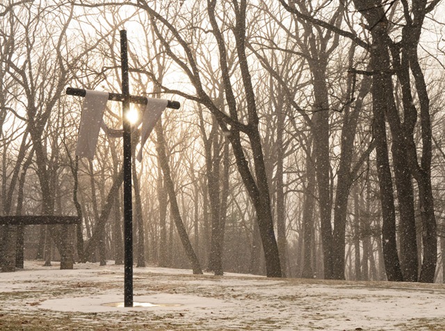 [12_Snow_Cross_020309c[3].jpg]