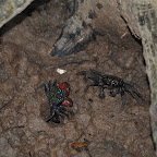 DSC_1776.JPG