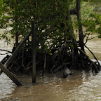 DSC_1694.JPG