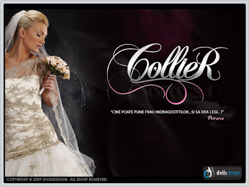 www.dvilsgroup.ro