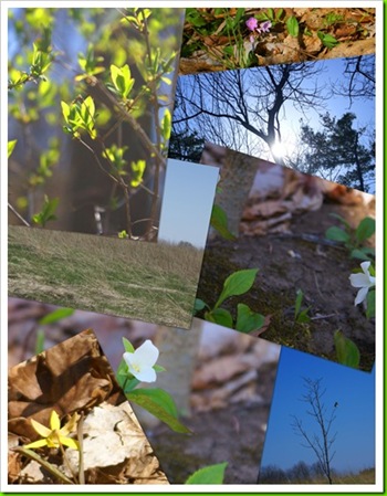 Untitled9_thumb6