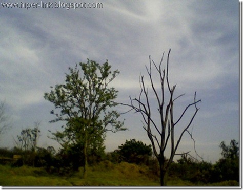 clip_image001