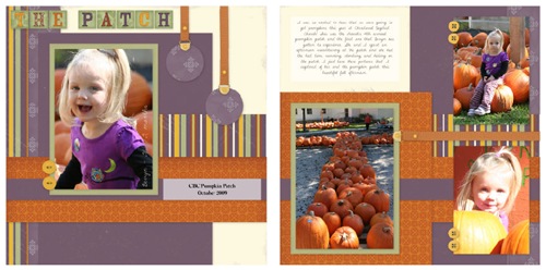 The-Pumpkin-Patch-2009