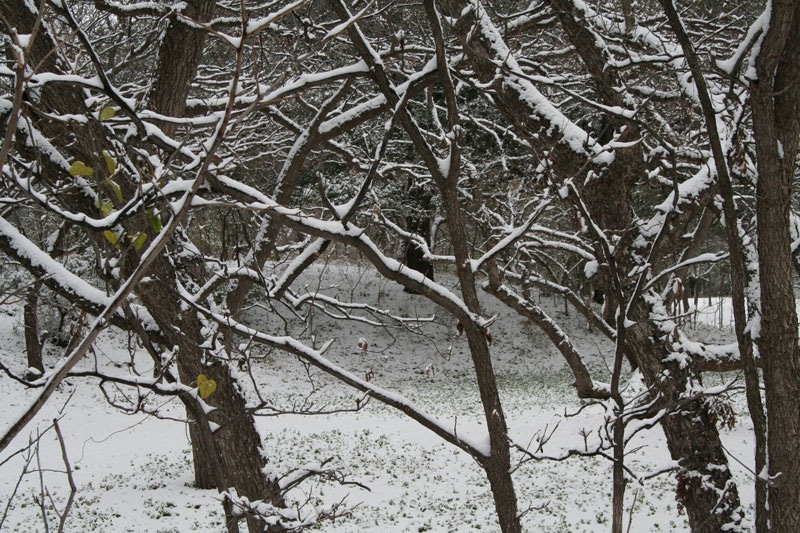 [2009-12-04_2309[5].jpg]