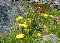 Desolation Loop 8-8-2009 2-15-43.JPG Photo