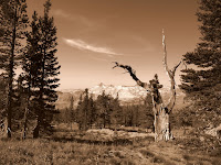 Desolation Loop 8-9-2009 9-27-28 AM.JPG Photo