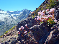 Trinity Alps 234.JPG