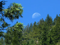 Trinity Alps 270.JPG