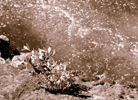 Trinity Alps 029.JPG
