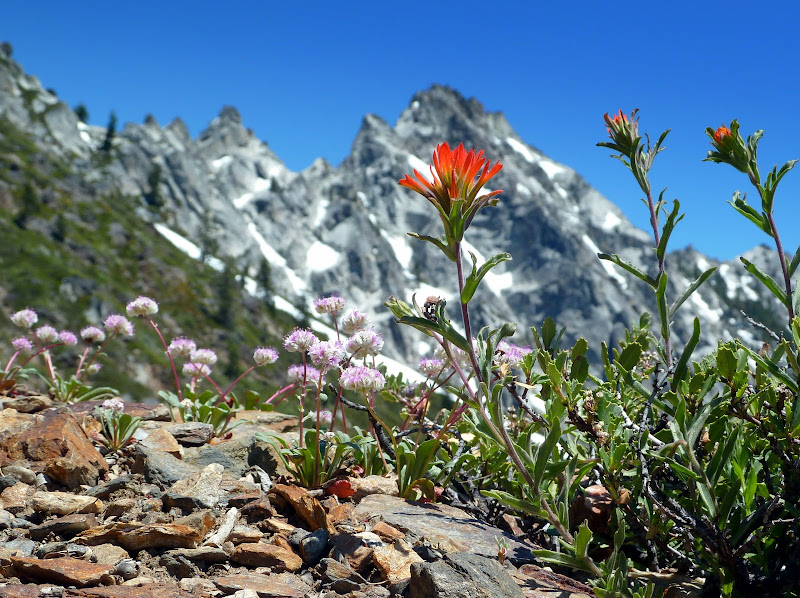 Trinity Alps 159.JPG Photo