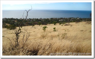 IMG_0955 IMG_0955