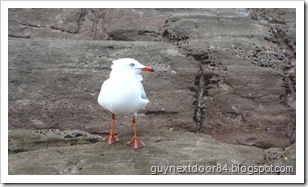 IMG_1016 IMG_1016