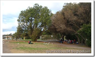 IMG_1094 IMG_1094